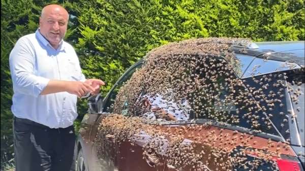 Şehir merkezinde otomobili arılar sardı