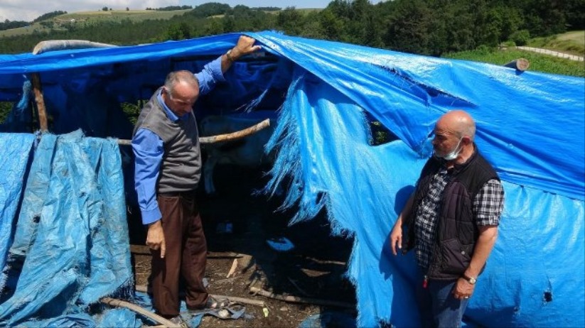 Samsun'da 4 yaşındaki miniğin feci ölümü