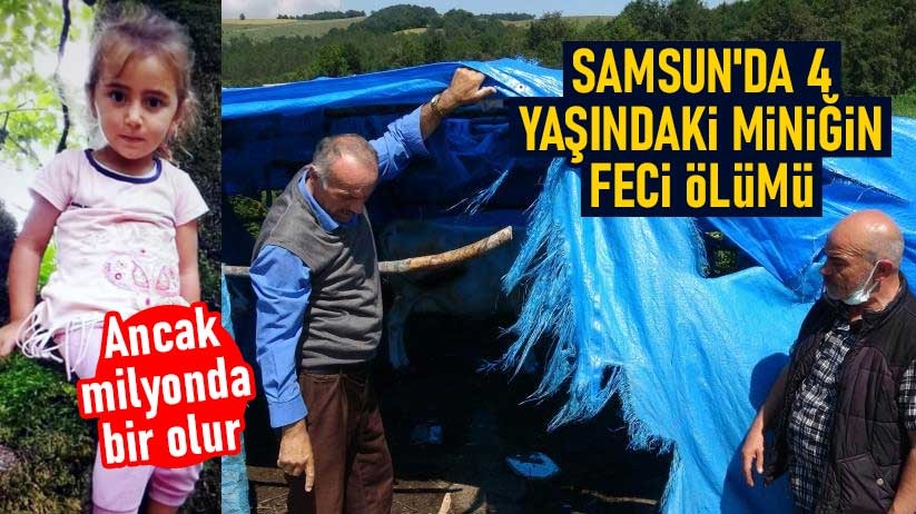Samsun'da 4 yaşındaki miniğin feci ölümü