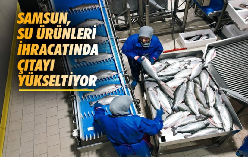 Samsun, su ürünleri ihracatında çıtayı yükseltiyor