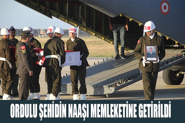 Ordulu şehidin naaşı memleketine getirildi