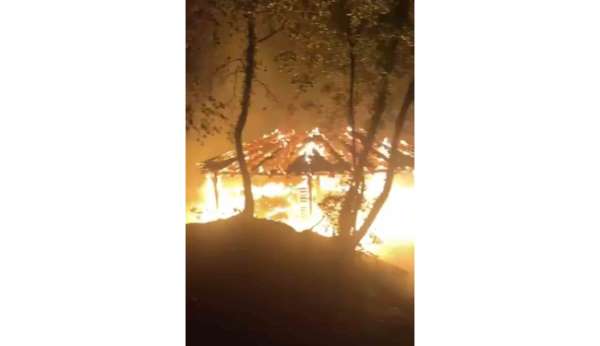 Bursa'da piknikçilerin söndürmeden bıraktığı ateş ormanı küle çeviriyordu