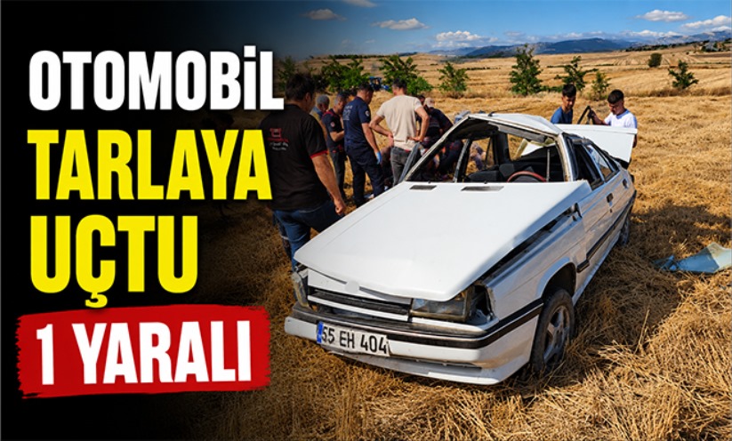 Vezirköprü'de otomobil tarlaya uçtu: 2 yaralı