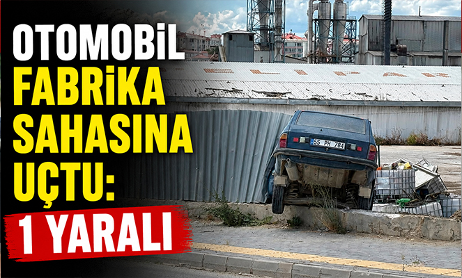 Otomobil fabrika sahasına uçtu: 1 yaralı
