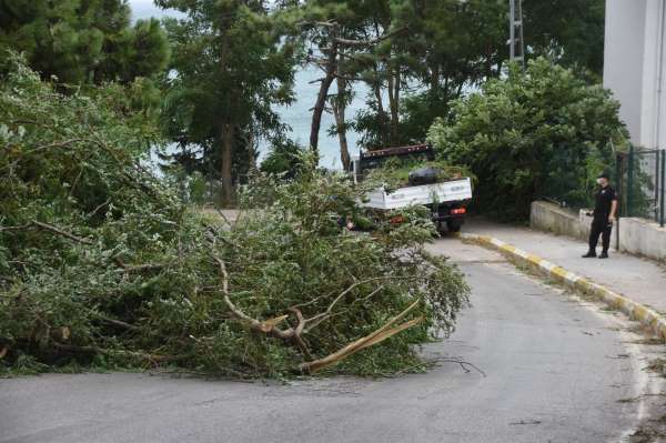 Sinop'ta şiddetli fırtına: 1 boğulma
