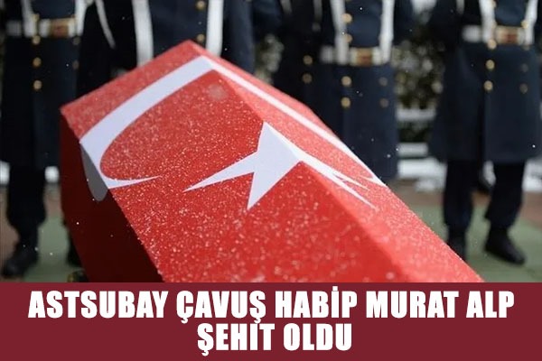 MSB duyurdu! Pençe-Kilit bölgesinde Astsubay Çavuş Habip Murat Alp şehit oldu