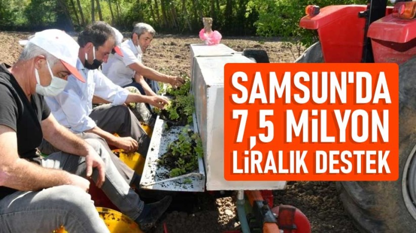 Samsun'da 1500 çiftçiye 7,5 milyon liralık destek