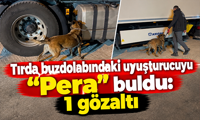 Tırda buzdolabındaki uyuşturucuyu 'Pera' buldu: 1 gözaltı
