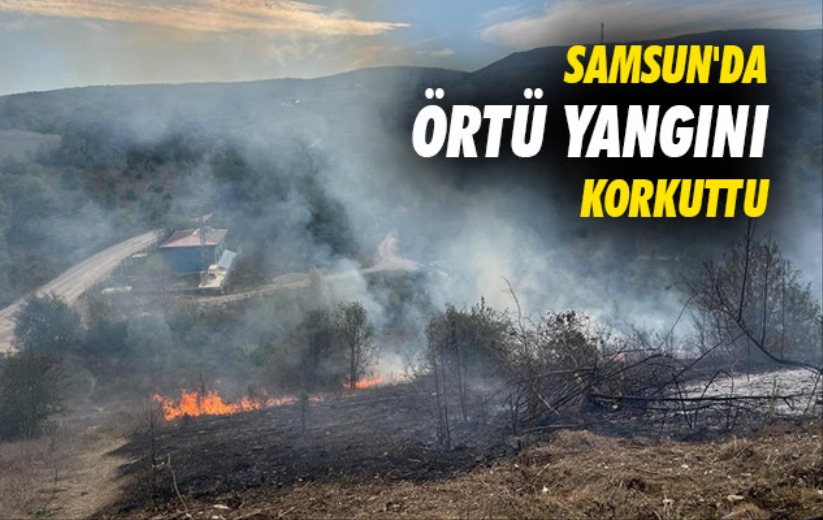 Samsun'da örtü yangını korkuttu