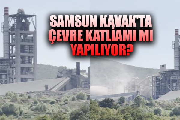 Samsun Kavak'ta çevre katliamı mı yapılıyor?