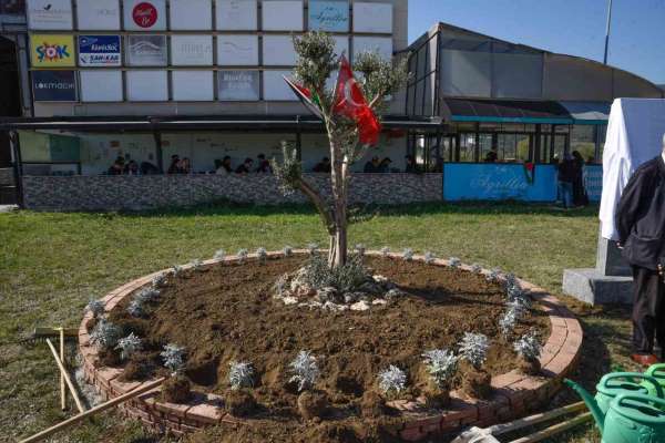 OMÜ'de Filistin için 'zeytin ağacı anıtı' dikildi