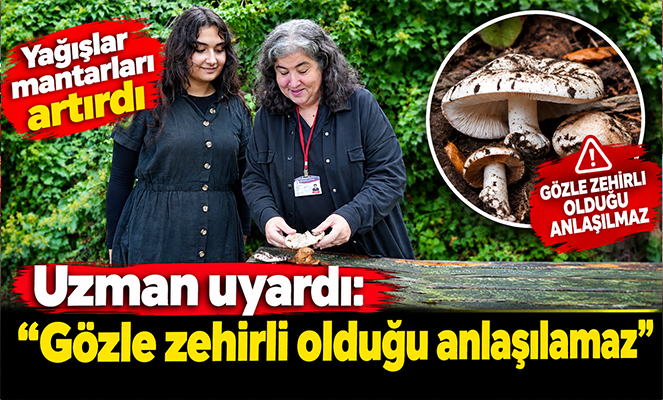 Yağışlar mantarları artırdı, uzman uyardı: 'Gözle zehirli olduğu anlaşılmaz'
