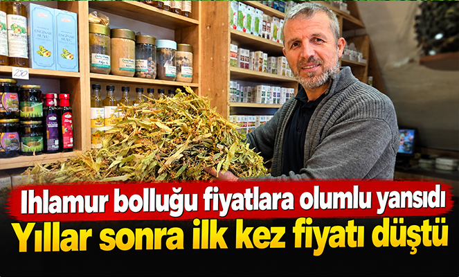 Ihlamur bolluğu fiyatlara olumlu yansıdı: Yıllar sonra ilk kez fiyatı düştü