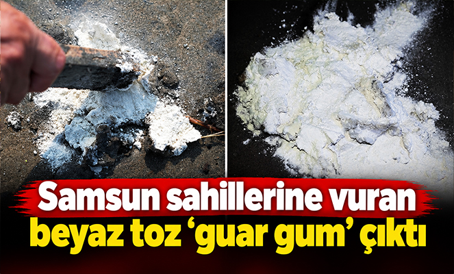 Samsun sahillerine vuran beyaz tuz 'guar gum' çıktı: Doğal lif