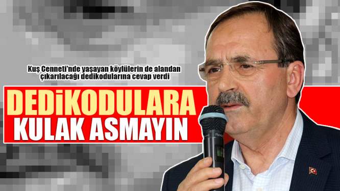 Şahin: Dedikodulara Kulak Asmayın