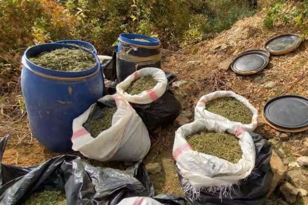 Lice'de terörün finans kaynağına darbe: 1 ton 168 kilo esrar ele geçirildi