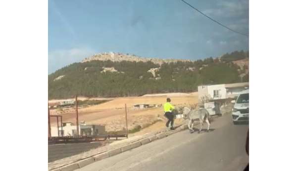 Kazaya davetiye çıkaran eşeğe polis müdahale etti