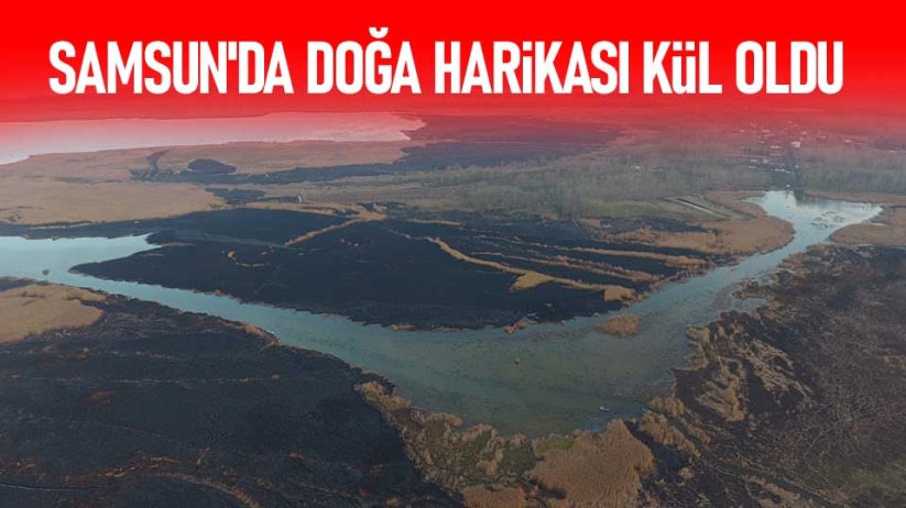 Samsun'da doğa harikası kül oldu
