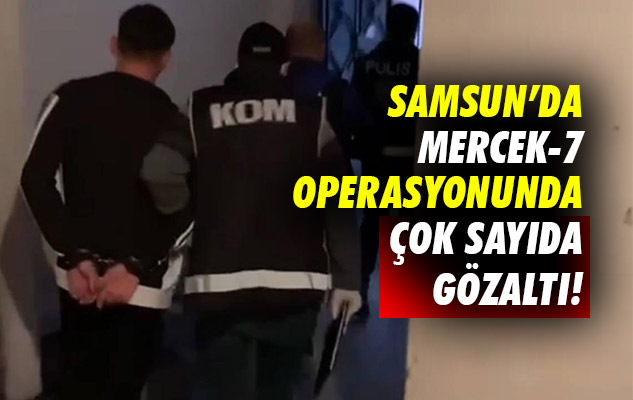 Samsun'da Mercek-7 Operasyonunda çok sayıda gözaltı!