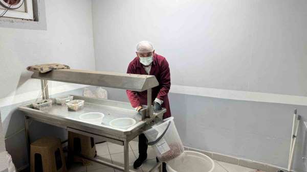 Alaplı'da fındık kavurma tesisleri taleplere yetişemiyor