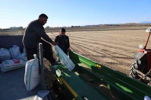 Çukurova'da buğday ekimi başladı