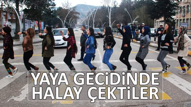Yaya geçidinde halay çektiler 