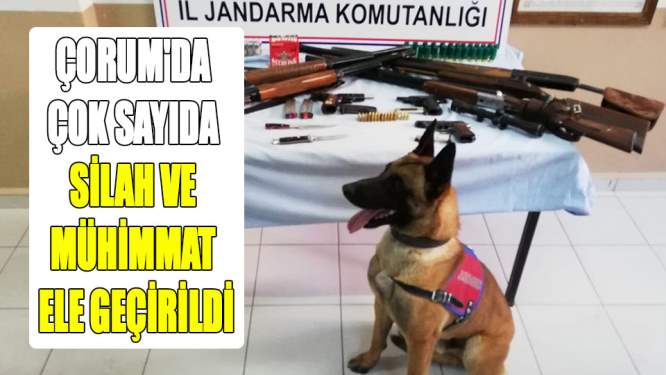 Çorum'da çok sayıda silah ve mühimmat ele geçirildi