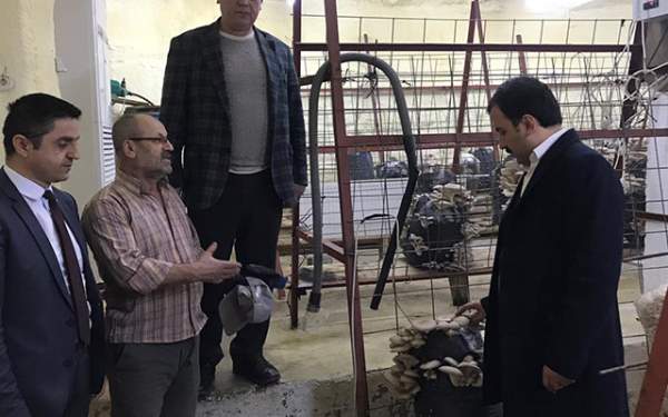 Koşal'dan mantar üretim tesisine ziyaret