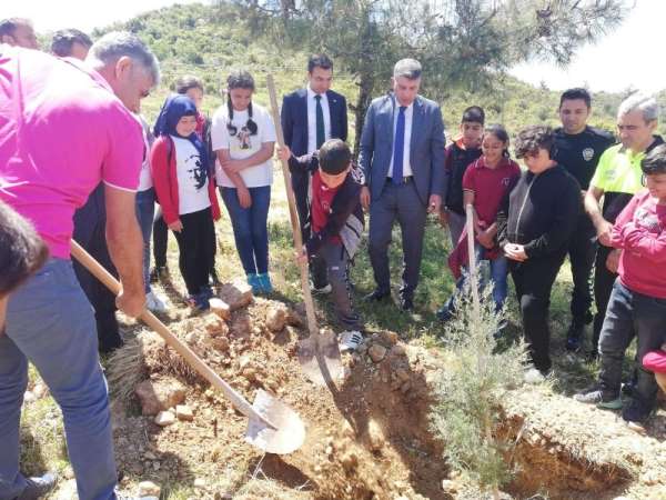 Kaş'ta Trafik Haftasında fidan dikildi