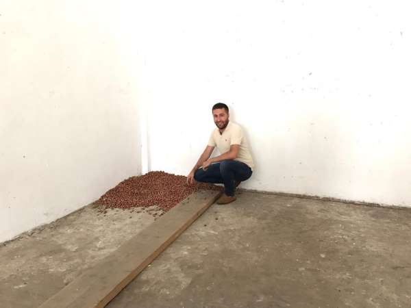 Yılın ilk fındığı tüccara indi 