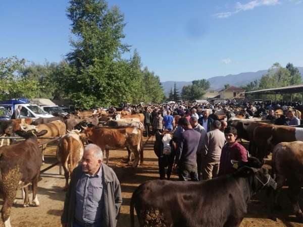 Tokat'ta kurbanlık satıcılarına sahte para uyarısı 