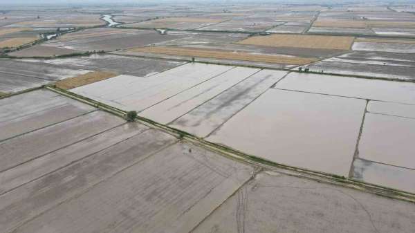 Söke'nin 2026 yılı ürün deseni belli oldu