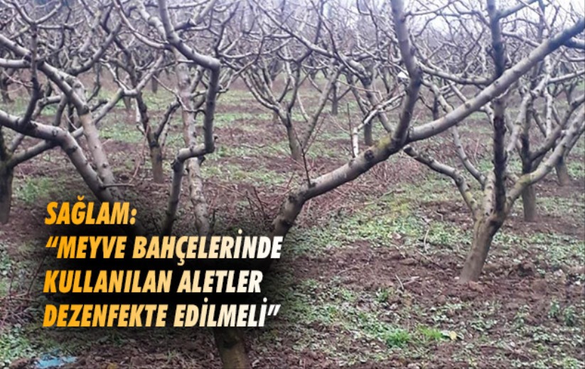 Sağlam: 'Meyve bahçelerinde kullanılan aletler dezenfekte edilmeli'