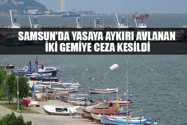 Samsun'da yasaya aykırı avlanan iki gemiye ceza kesildi