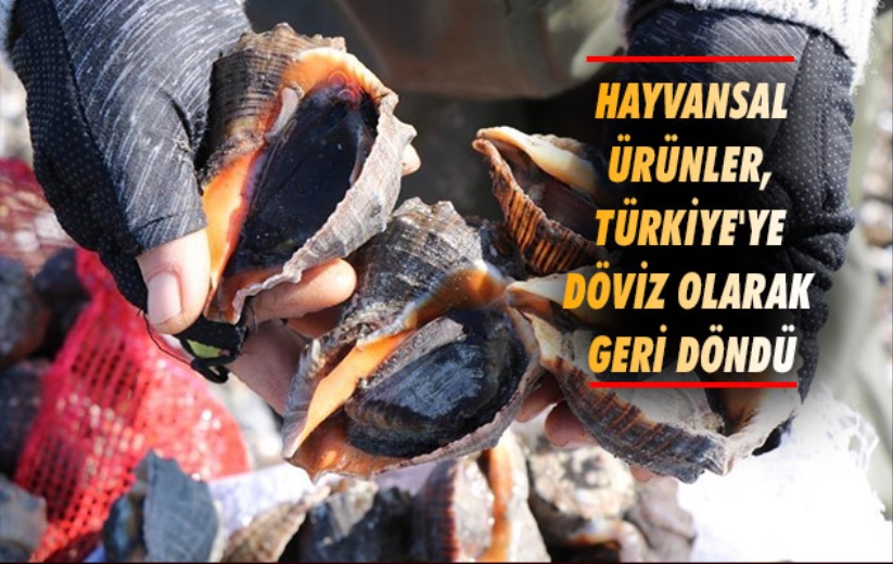Hayvansal ürünler, Türkiye'ye döviz olarak geri döndü
