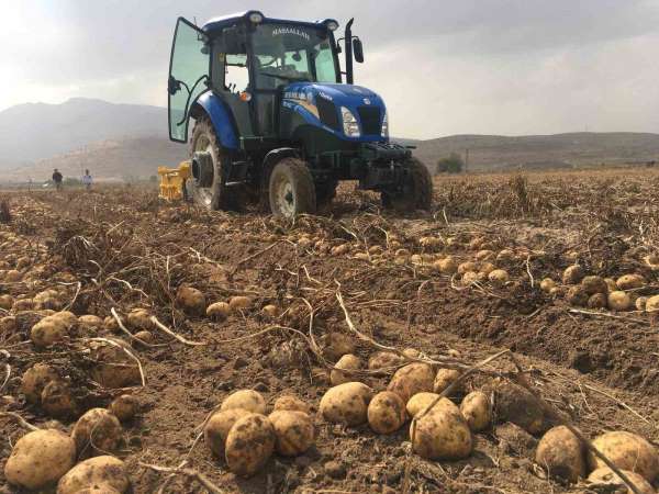 Ziraat Odası Başkanı Kenar: 'Patates fiyatlarında artış yok'