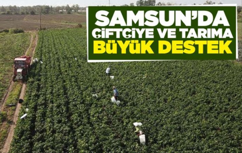 Samsun'da çiftçiye destek