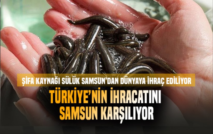 Türkiye'nin ihraç ettiği tıbbi sülüğü Samsun karşılıyor