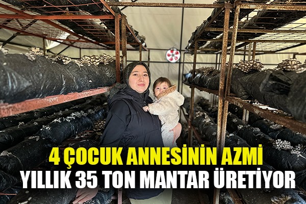 4 çocuk annesinin azmi: Yıllık 35 ton mantar üretiyor