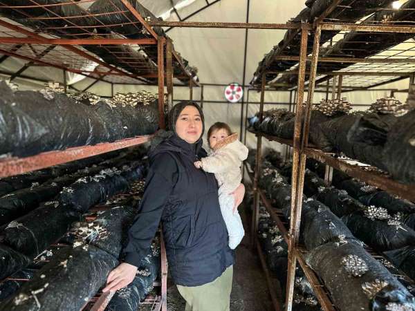 4 çocuk annesinin azmi: Yıllık 35 ton mantar üretiyor, talepleri karşılayamıyor