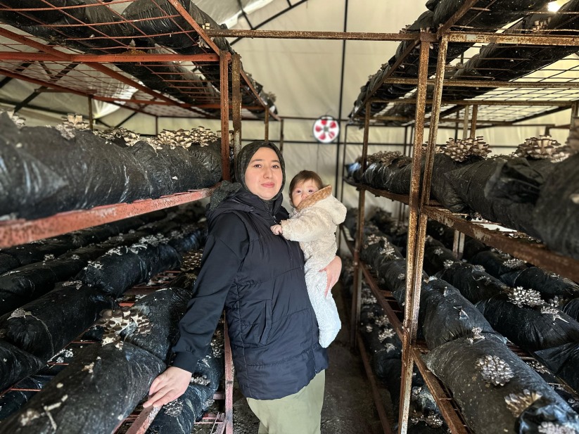 4 çocuk annesinin azmi: Yıllık 35 ton mantar üretiyor