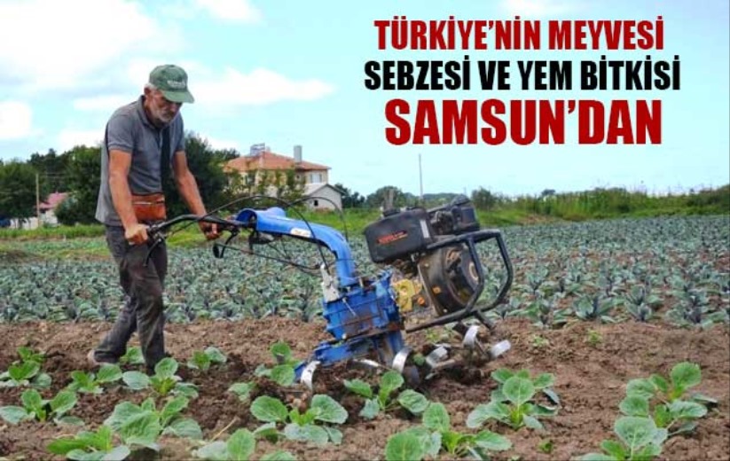 Türkiye'nin meyvesi, sebzesi ve yem bitkisi Samsun'dan