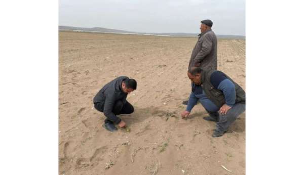 Kulu'da kum fırtınası ekili alanlara zarar verdi - Konya haber