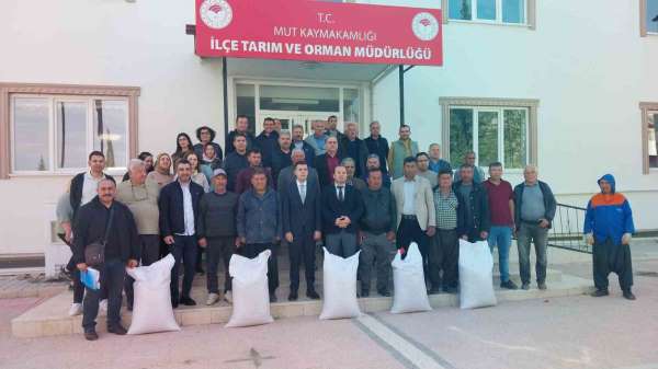 Mersin Mut'ta üreticiye tohum desteği