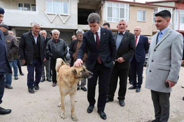Sokak köpeğine devlet şefkati
