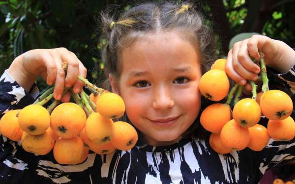 Mersin'in sarı altını yenidünya üreticisini fiyatıyla sevindirdi