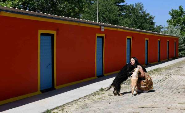 Kuşadası'ndaki Evcil Hayvan Rehabilitasyon Merkezi yenilendi