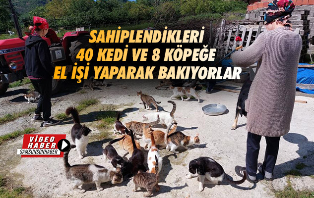 Samsun'da sahiplendikleri 40 kedi ve 8 köpeğe el işi yaparak bakıyorlar