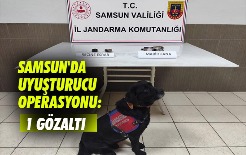 Samsun'da uyuşturucu operasyonu: 1 gözaltı