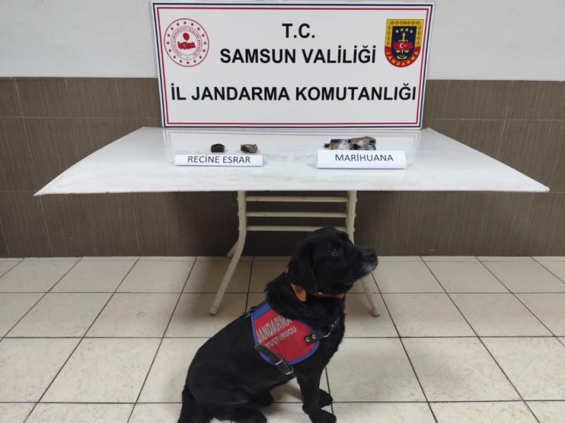 Samsun'da uyuşturucu operasyonu: 1 gözaltı